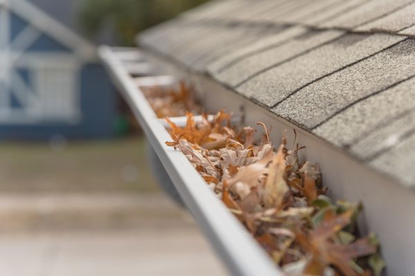 Leaf Barrier Installation in Kennesaw